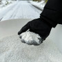 Auftaugranulat 25 kg der umweltfreundliche Streusalzersatz Taumittel Eisfrei Umweltfreundlich Tierpfotenfreundlich