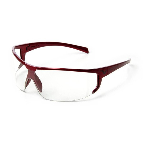 Alfa Univet Schutzbrille